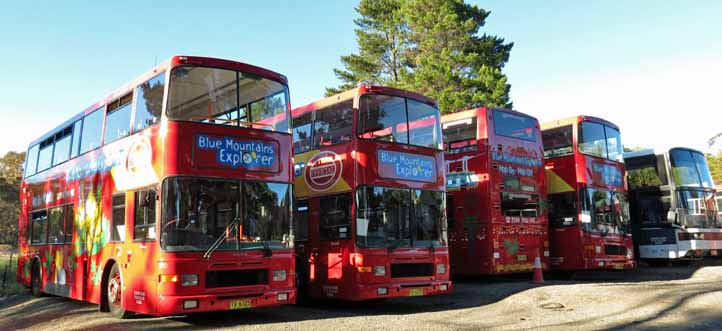 Blue Mountains Explorer Volvo Olympian Alexander Royale City Sightseeing 270, 251, 273 & 264